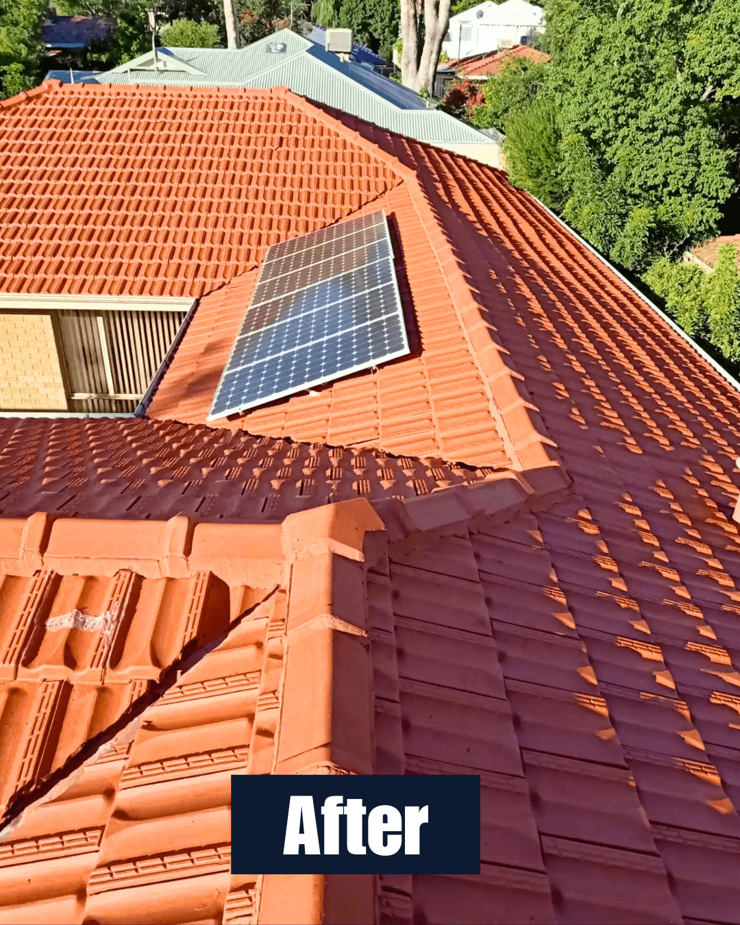 Roof after cleaning 1