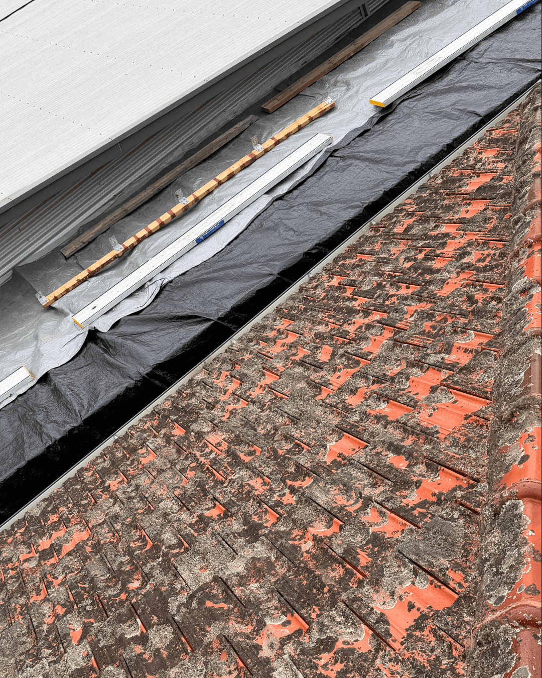 Roof cleaning in progress